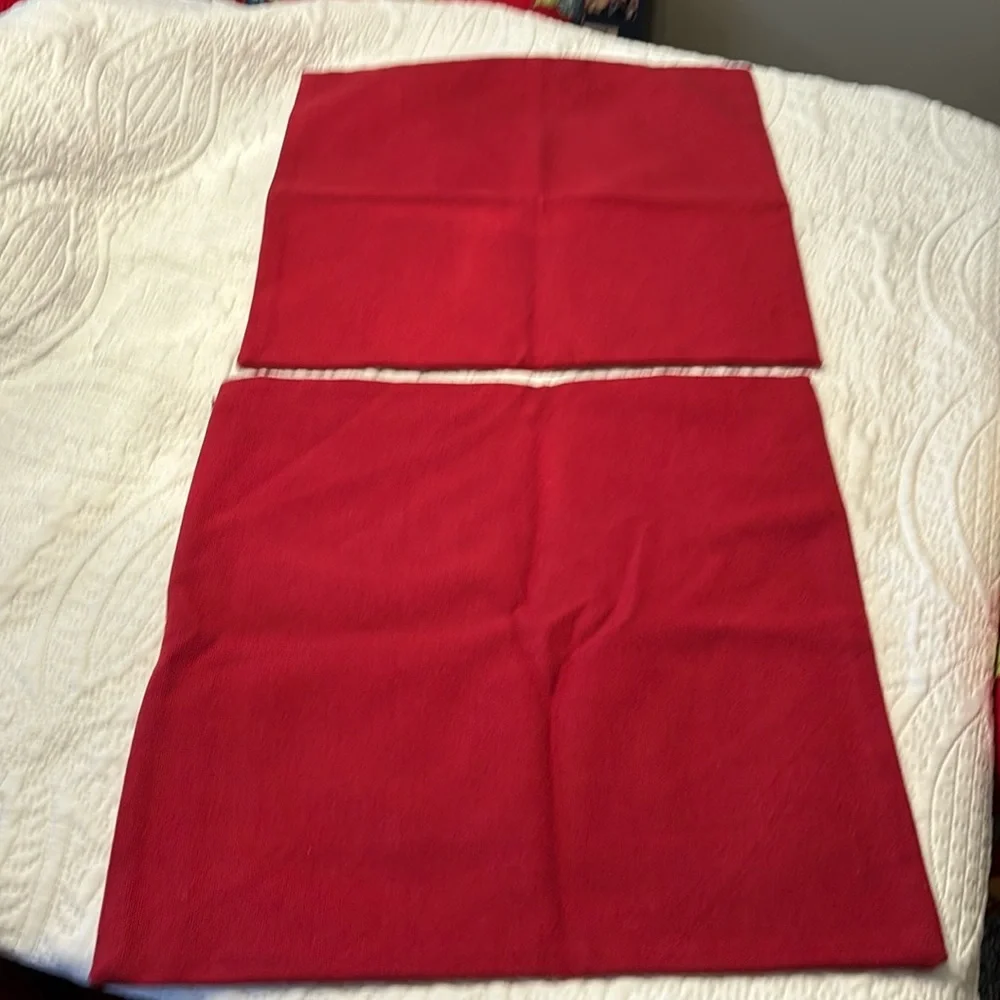 Pair Pottery Barn Pillow Cover